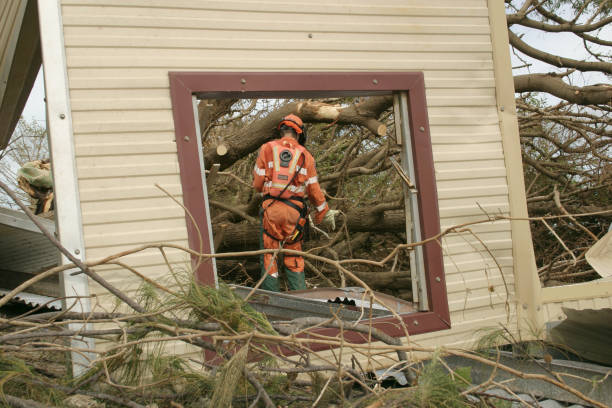 How Our Tree Care Process Works  in  Bronxville, NY